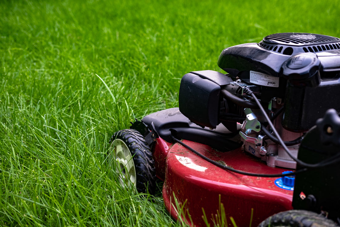 The Ultimate Guide to Choosing the Perfect Lawn & Garden Supplies for Your Home