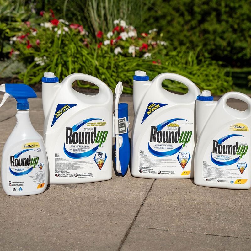 Roundup Ready to Use Grass And Weed Control Non Selective Herbicide Wi roundup-ready-to-use-grass-and-weed-control-non-selective-herbicide-wi